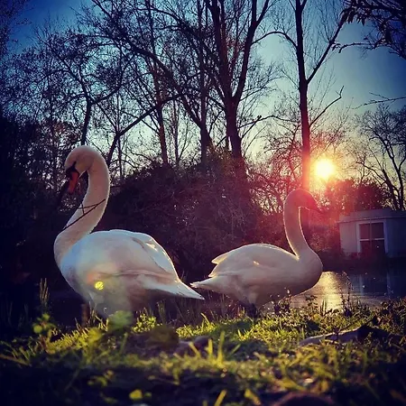 Bordallo's - Centro Apartamento *