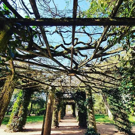 Bordallo's - Centro Apartamento *